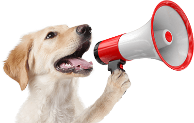 Dog with megaphone