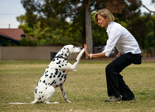 Woman training dog